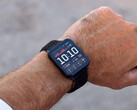 Venu X1 zyskał kilka nowych funkcji dzięki najnowszej aktualizacji beta. (Źródło zdjęcia: Garmin)