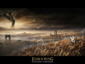 Pierwsze duże DLC do gry Elden Ring, Shadow of the Erdtree, może pojawić się wkrótce (zdjęcie za FromSoftware)