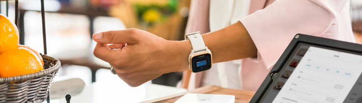 Funkcja Garmin Pay (pokazana powyżej) zostanie przemianowana na Garmin Wallet. (Źródło zdjęcia: Garmin)