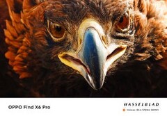 Find X6 Pro: mistrz telefoto? (Źródło: OPPO)