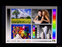 Szerokie kąty widzenia wyświetlaczy OLED