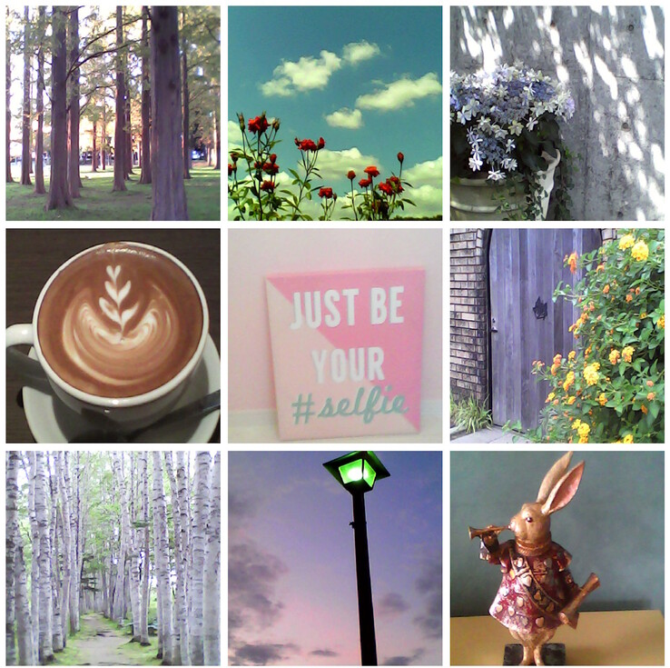 Przykładowe zdjęcia wykonane zabawkowym aparatem Kenko Tokina Pieni II. (Źródło zdjęcia: Kenko Tokina)