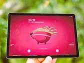 Samsung Galaxy Tab S10 Lite w recenzji. (Źródło zdjęcia: Marcus Herbrich)