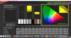 CalMAN ColorChecker skalibrowany (docelowa przestrzeń barw P3)