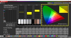 CalMAN ColorChecker (profil: sRGB, docelowa przestrzeń kolorów: sRGB)