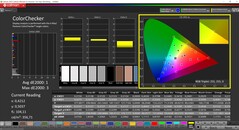 CalMAN ColorChecker (profil: sRGB, docelowa przestrzeń kolorów: sRGB)