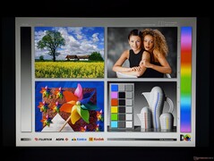 Szerokie kąty widzenia IPS