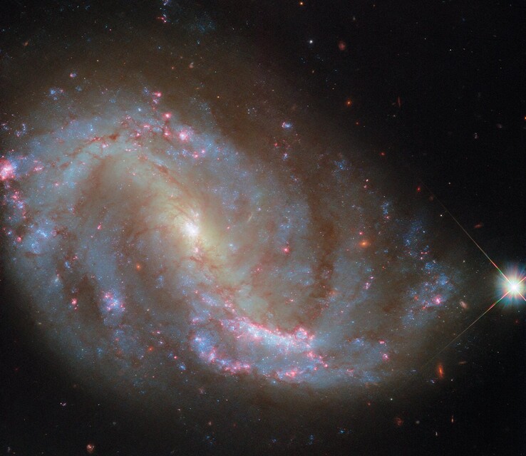 Obraz Hubble'a NGC 7496 (źródło obrazu: ESA/Hubble, NASA, R. Chandar, J. Lee i zespół PHANGS-HST)