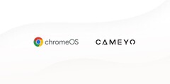 Google przejmuje Cameyo (Źródło: Google Cloud Blog)