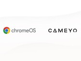 Google przejmuje Cameyo (Źródło: Google Cloud Blog)