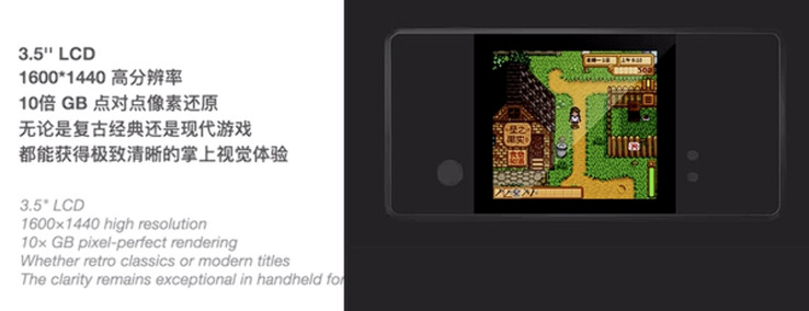 (Źródło zdjęcia: GKD via Neon Rabbit)