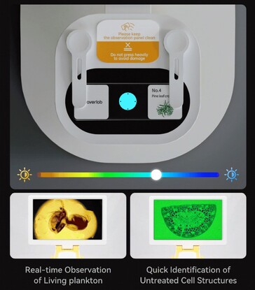 Darwin MX Pro posiada regulowane barwienie próbek światłem RGB, aby z łatwością zobaczyć wewnętrzne struktury. (Źródło obrazu: BeaverLab na Kickstarterze)