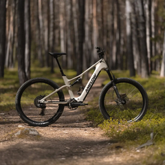 Model Amflow TL Carbon jest wyposażony w silnik z napędem środkowym Avinox M2 firmy DJI