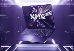 Więcej podstawowych opcji dla graczy zorientowanych na budżet. (Źródło obrazu: XMG)