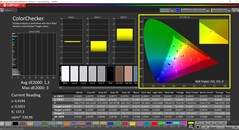 CalMAN ColorChecker (profil: sRGB, docelowa przestrzeń kolorów: sRGB)