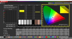 CalMAN ColorChecker (profil: Vivid, docelowa przestrzeń kolorów: P3)