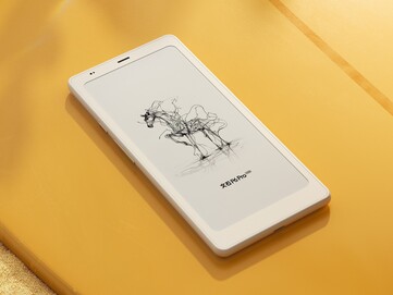Boox P6 Pro ma czarno-biały wyświetlacz Carta 1300. (Źródło obrazu: Onyx)