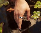 Firma Samsung pracuje nad nową alternatywą dla pierścienia Oura Ring 5.