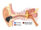 APG wykorzystuje ultradźwięki modulowane przez zmiany ciśnienia w przewodzie słuchowym (Źródło obrazu: Google Research)