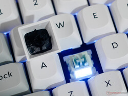 Podświetlenie przełącznika Keychron Q1 HE 8K