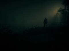 Zrzut ekranu z Red Dead Redemption 2 uruchomionego na PC (źródło obrazu: Społeczność Steam)