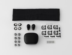 W pudełku znajdują się cztery rozmiary piankowych końcówek, dwie płetwy stabilizujące i opaska na głowę do skanowania (źródło zdjęcia: Final)