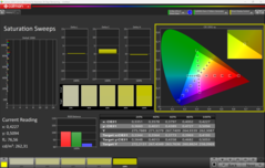 Kalibracja nasycenia CalMAN