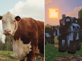 Zrzut ekranu z aktualizacji Minecraft Tiny Takeover porównujący krowy w grze z prawdziwymi krowami