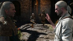 Na stronie Witcher 3