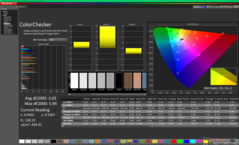 ColorChecker przed kalibracją (P3)