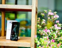 Motorola Moto G87 oferuje głośniki o dużym ciśnieniu akustycznym, ale umiarkowanym dźwięku.
