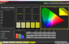 Kalibracja nasycenia CalMAN