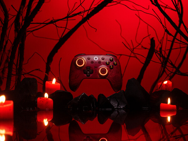 (Źródło obrazu: 8BitDo)