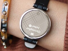 Smartwatch Garmin Lily jest teraz dostępny w dwóch nowych wersjach kolorystycznych. (Źródło obrazu: Garmin)