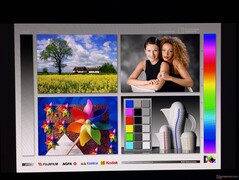 Szerokie kąty widzenia OLED