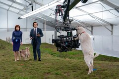 Aby uzyskać charakterystyczną, inspirowaną latami 70. estetykę serialu, korpusy kamer zostały sparowane z obiektywami anamorficznymi Panavision serii C. (Źródło obrazu: Apple TV+)