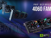 Karty PNY RTX 4060. (Źródło: PNY)