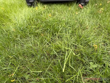 Airseekers Tron pozostawia dłuższe ścinki trawy w teście...