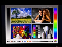 Szerokie kąty widzenia wyświetlaczy OLED