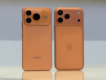 Podobieństwa przeważają na plecach.