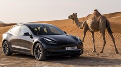 Tesla Model 3 Long Range z napędem AWD jest ponownie dostępna do zamówienia. (Źródło obrazu: Tesla)