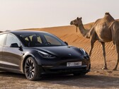 Tesla Model 3 Long Range z napędem AWD jest ponownie dostępna do zamówienia. (Źródło obrazu: Tesla)