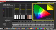 CalMAN ColorChecker (profil: skalibrowany, docelowa przestrzeń kolorów: P3)