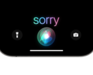 Apple zgodziła się na ugodę, ale nie przyznała się do żadnych wykroczeń.