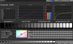 Skala szarości (tryb kolorów: Profesjonalny, docelowa przestrzeń kolorów: sRGB)