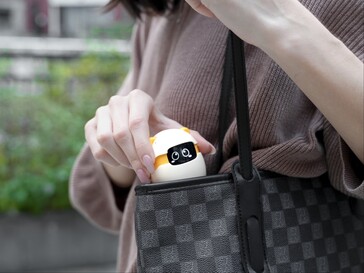 Rozmiar akompaniamentu Sweekar.