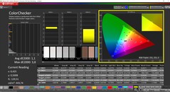 CalMAN ColorChecker (profil: sRGB, docelowa przestrzeń kolorów: sRGB)