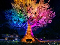 Zewnętrzne lampki choinkowe Govee (na zdjęciu) zostaną wprowadzone na rynek we wrześniu 2025 roku. (Źródło zdjęcia: Govee)