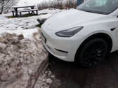 High Fidelity Park Assist nie jest dostępny dla wszystkich Tesli (zdjęcie: Tech &amp; Tesla Sweden/YouTube)