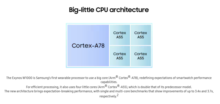 Architektura procesora Exynos W1000 (Źródło: Samsung)
